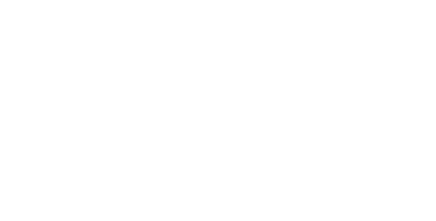 Whelan The Wrecker
