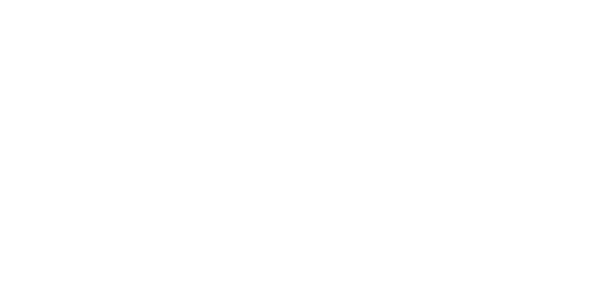 Whelan The Wrecker